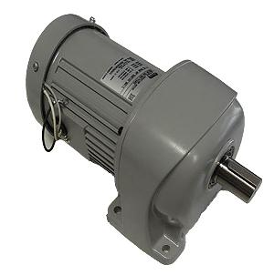 Động cơ Nissei G3L18N20-MM01TWNTJ4